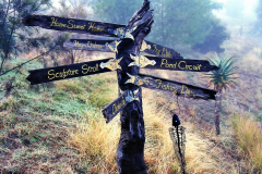 Sign Post