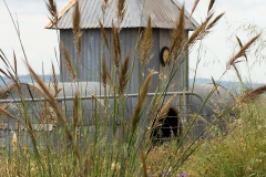 Goat House