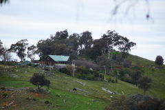 Homestead