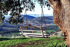 Swing Bench