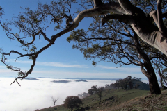 Hill Top Views