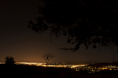 City Lights
